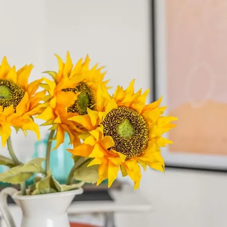 Sunflower Costa Blanca Apartament Santa Pola
